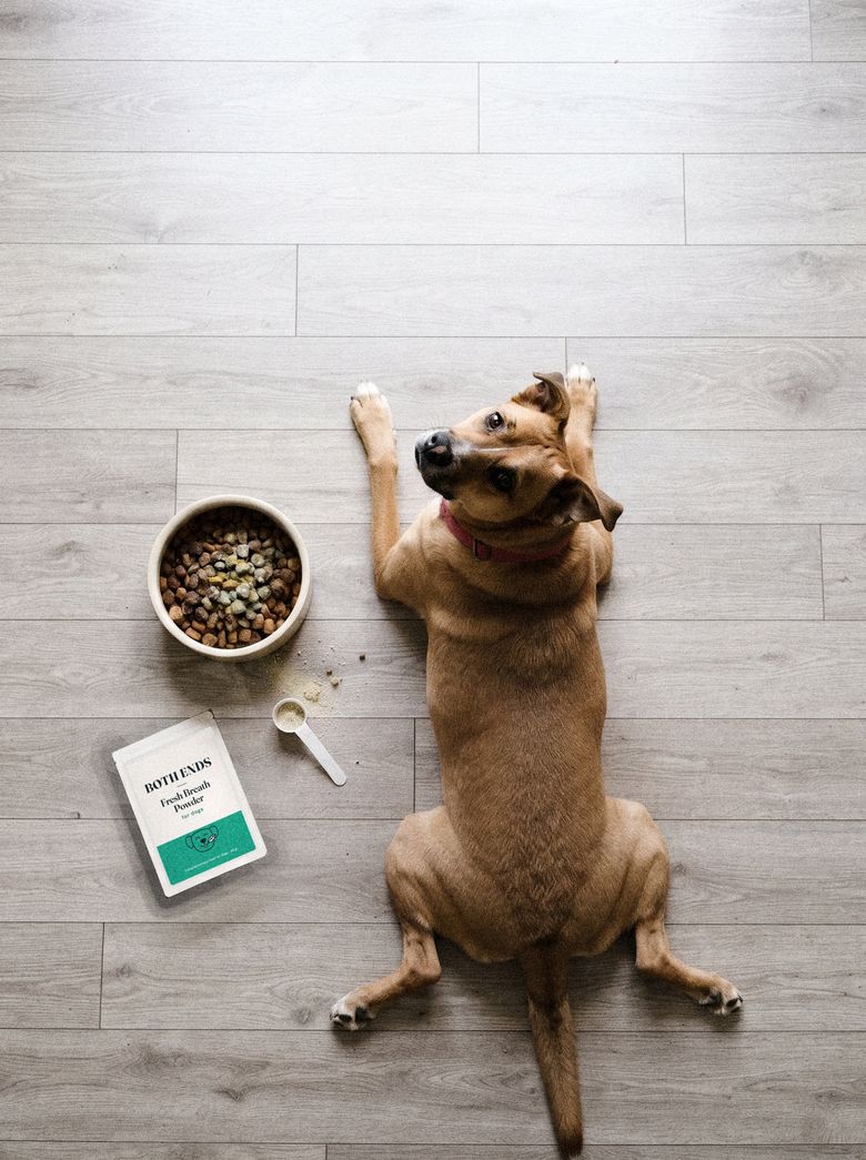Seen from above: a tan house dog lying on a pale wooden floor looking up, a bowl of kibble, a scoop and a Both Ends pouch beside it