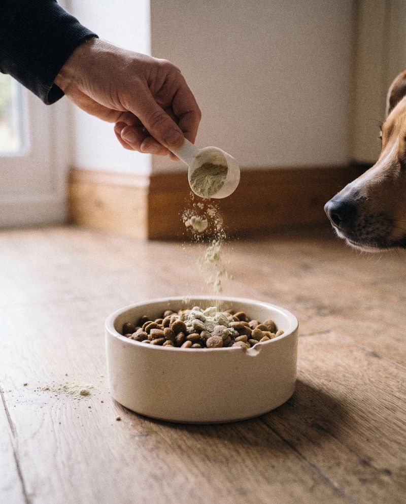 A hand pouring a scoop of pale powder over a bowl of kibble on a wooden floor, the house dog's nose at the edge of the picture
